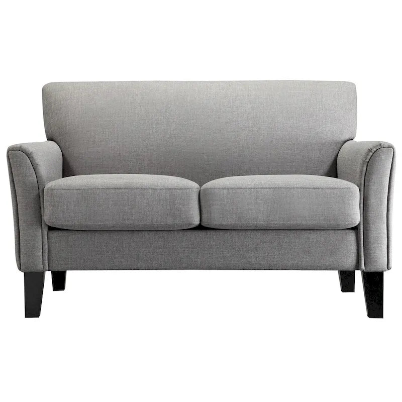 Modernes Loveseat mit Kissenrückenlehne
