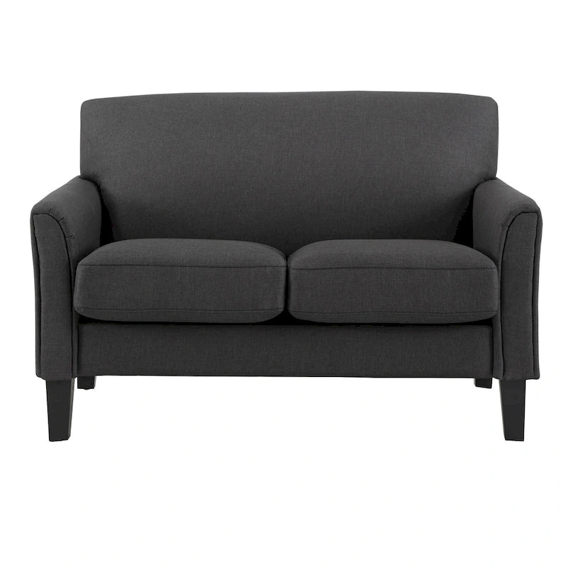 Modernes Loveseat mit Kissenrückenlehne